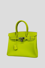 Load image into Gallery viewer, Bi-Color Kiwi Lichen Candy PHW Birkin 30 Epsom Leather Bag by Hermès
